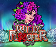 Wild Flower